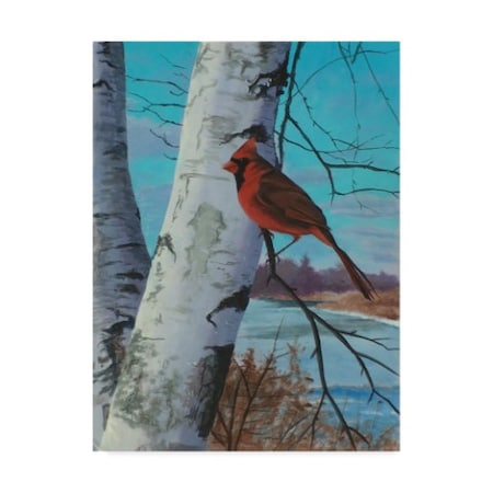 Rusty Frentner 'Painting For Red Bird' Canvas Art,35x47
